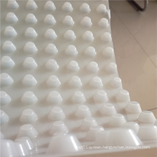 Waterproof HDPE Dimple Drainage Board Used for Garden Roof